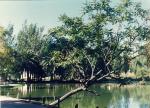 Parque Rod
